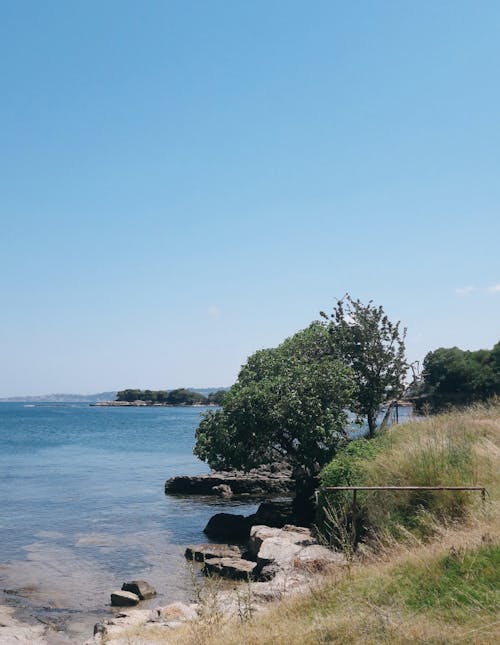 Clear Sky over Sea Shore