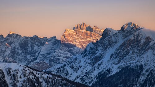 Fotobanka s bezplatnými fotkami na tému Alpy, broskyňa, broskyňový