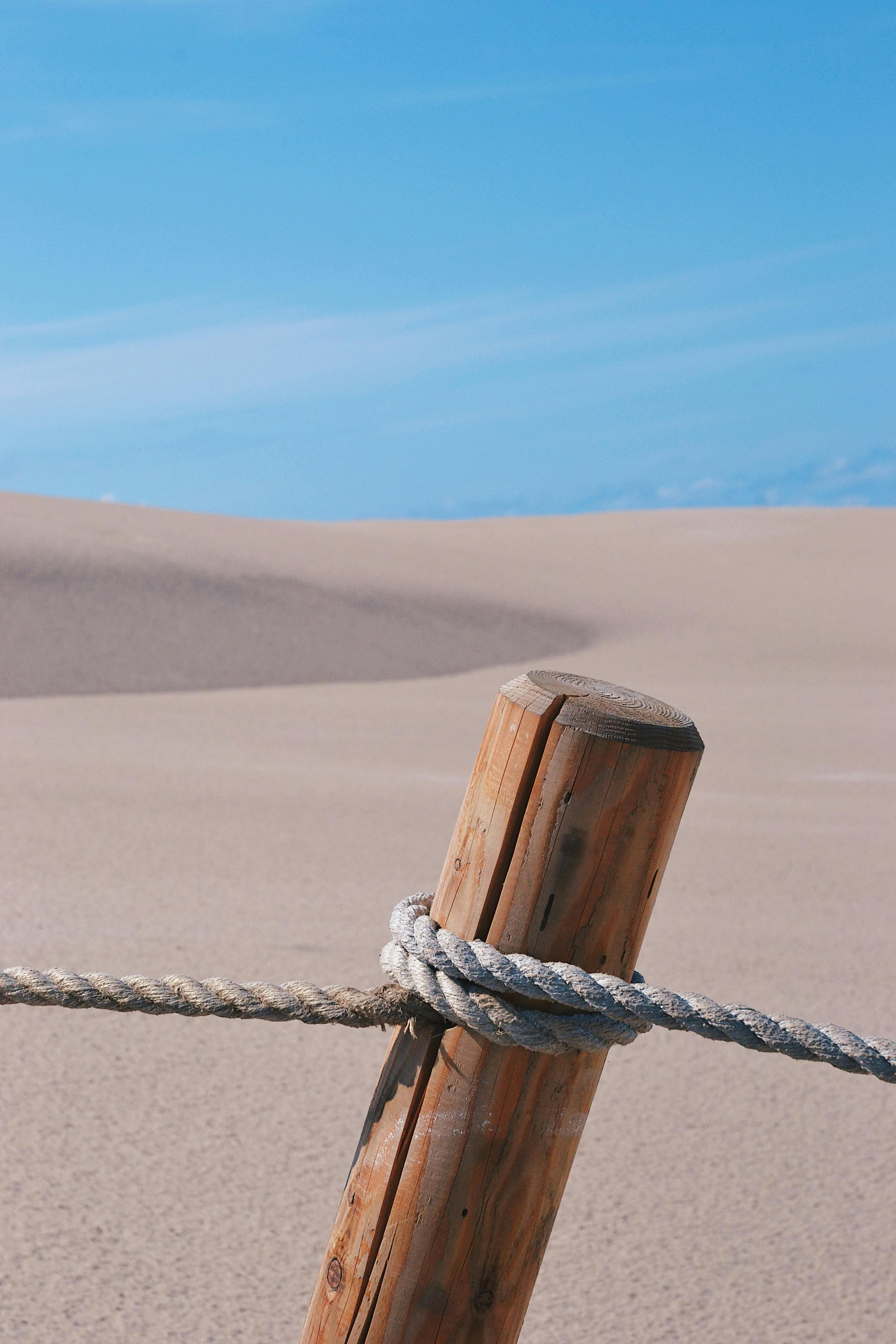 gratis Duinen Stockfoto