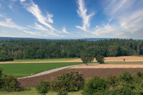 Free Beautiful summer countryside landscape featuring green fields and scenic blue skies. Stock Photo