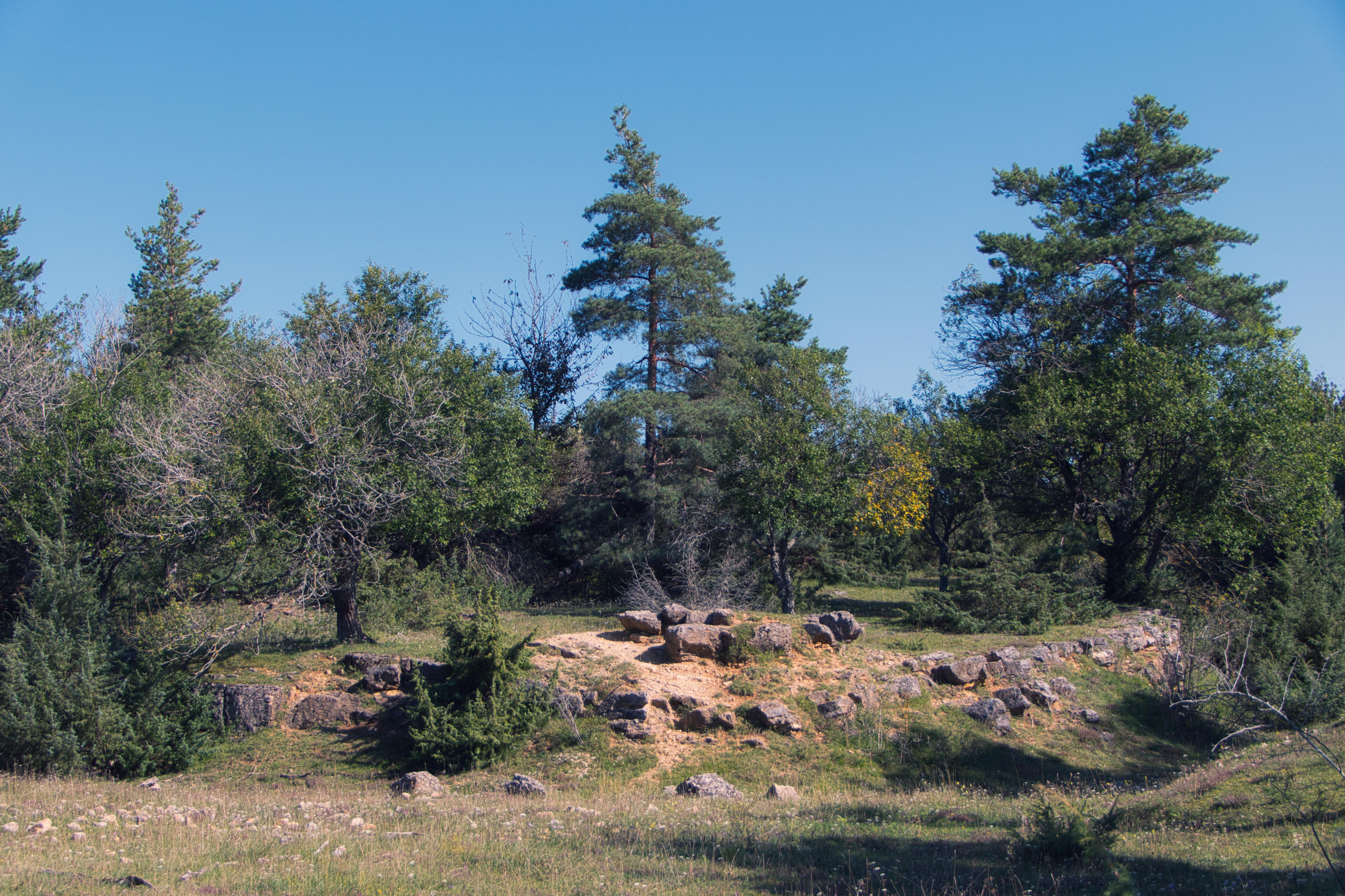 Abstract image of digital data streams and glowing lines, symbolizing complex financial data and algorithms.