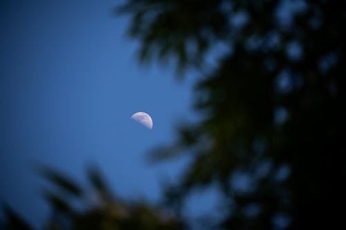 Crescent Moon in Night Sky