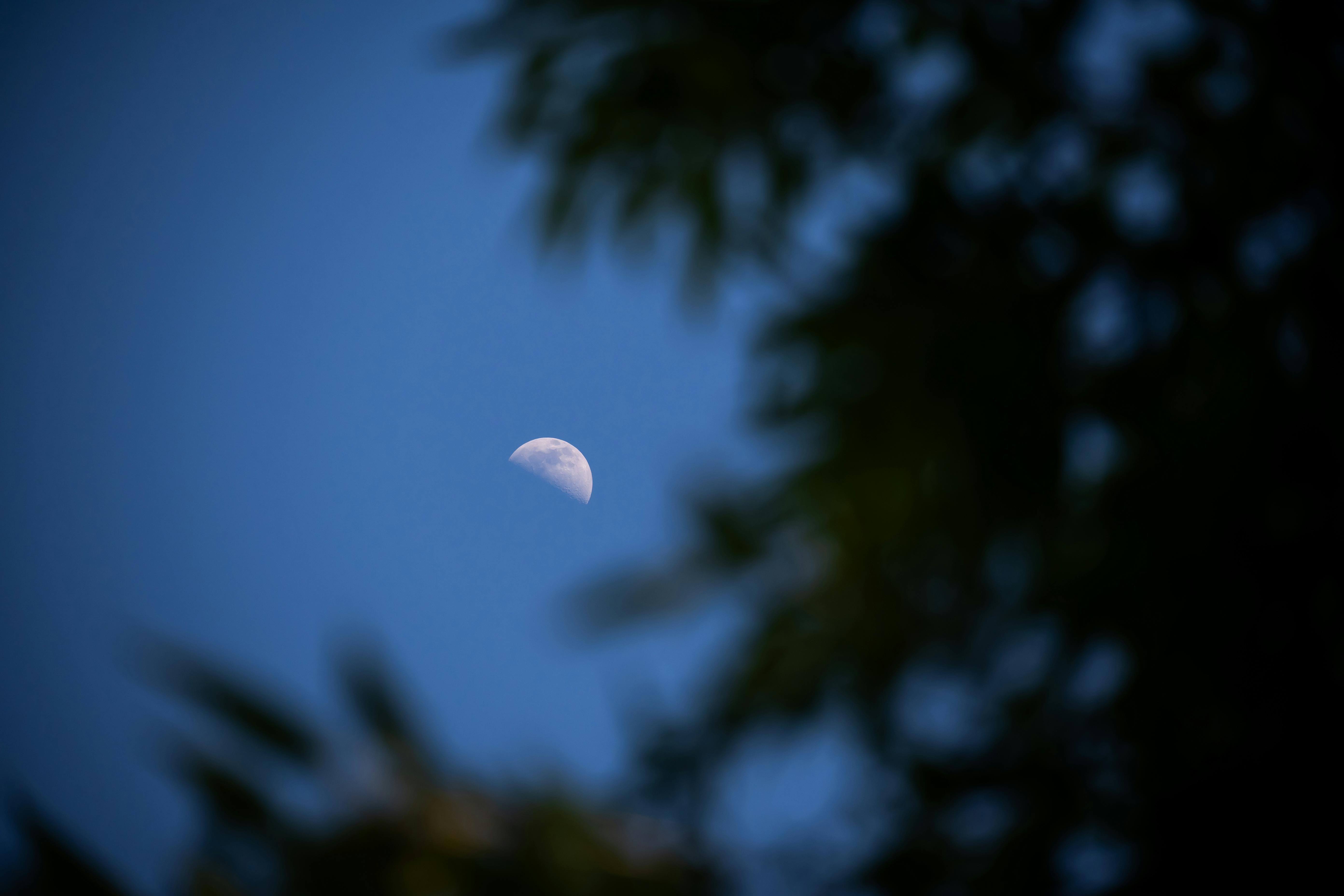 Selective Focus Of A Crescent Moon · Free Stock Photo