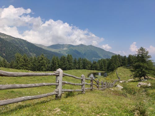 Wooden Fence in Countryside