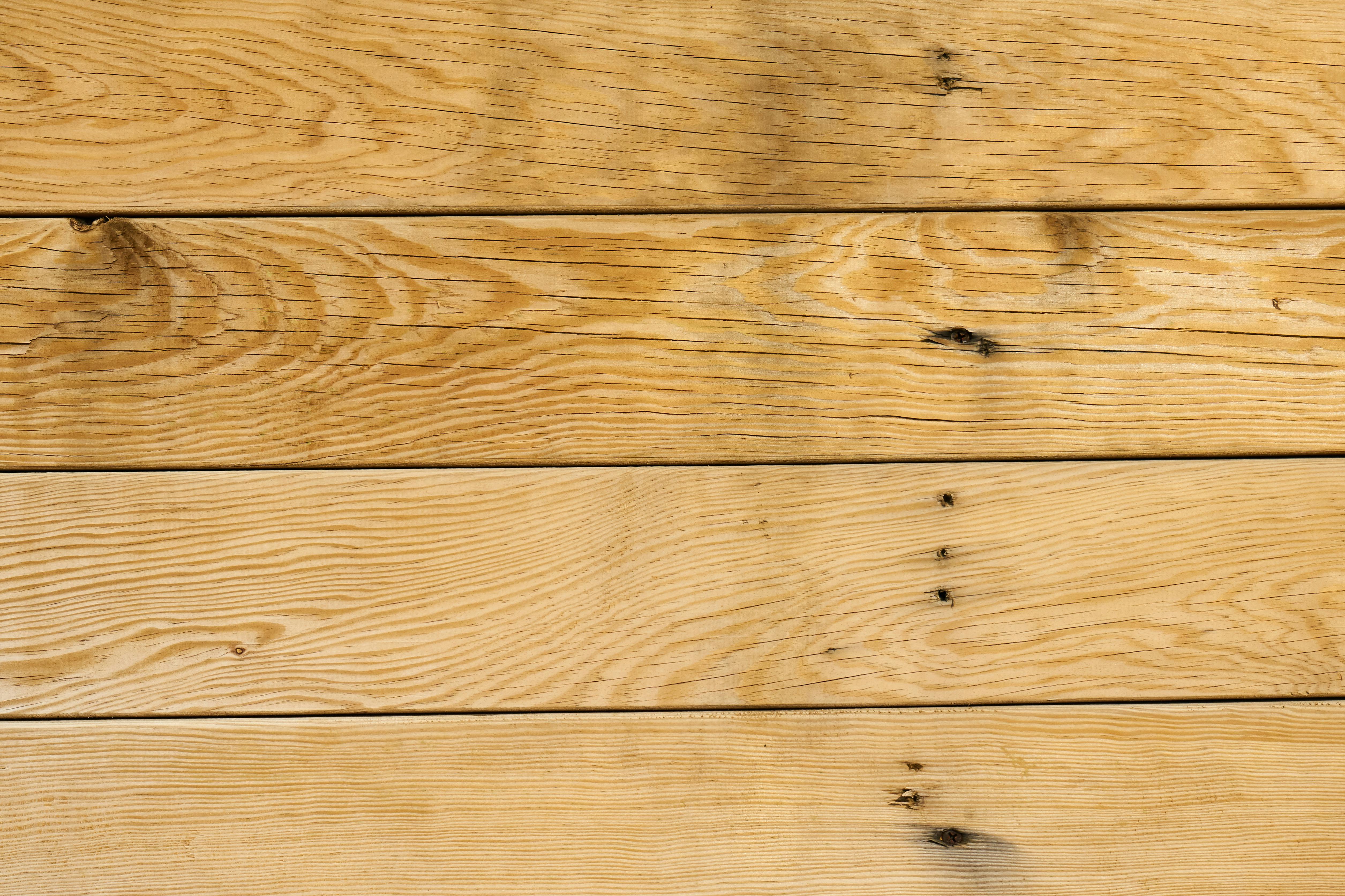 Vintage sheet music with Christmas carols on a wooden table surrounded by pine branches