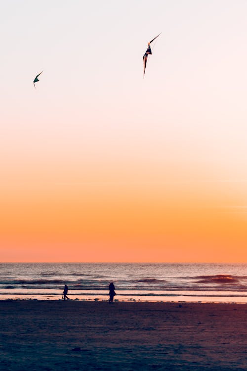 Birds Flying over Beach at Sunset