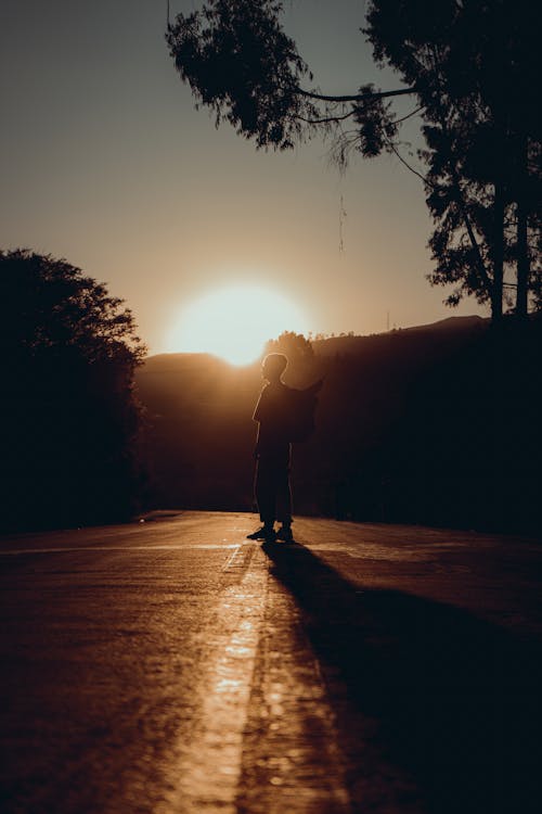 Man Standing on Road in Forest at Sunset