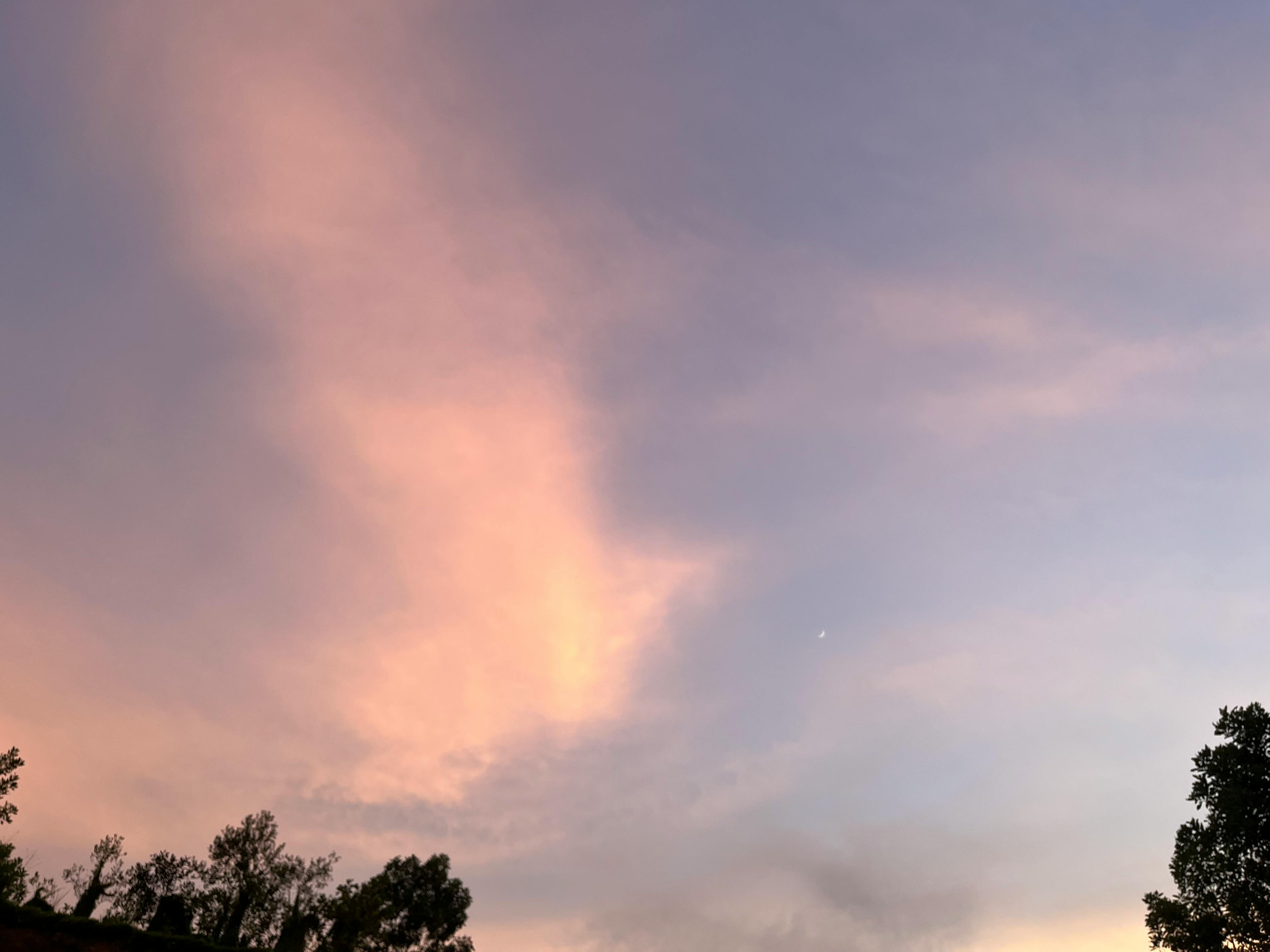 Tô phở bò bốc khói nghi ngút tại Phở Định 3 Vinhomes Ocean Park