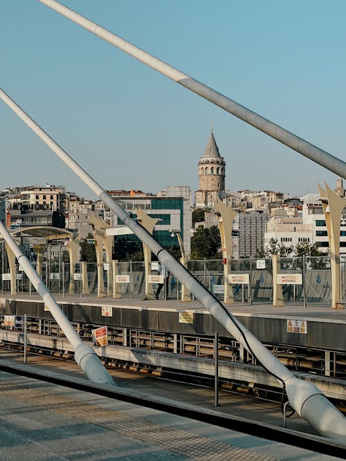 Imagine de stoc gratuită din călătorie, curcan, fotografiere verticală