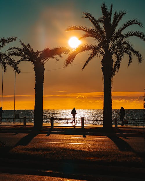 Sunset Sunlight over Street on Sea Coast