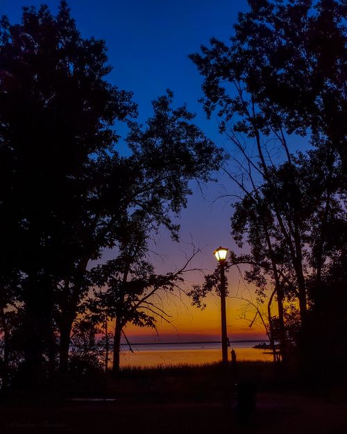 Free Britannia Park - Dusk Through The Trees Stock Photo