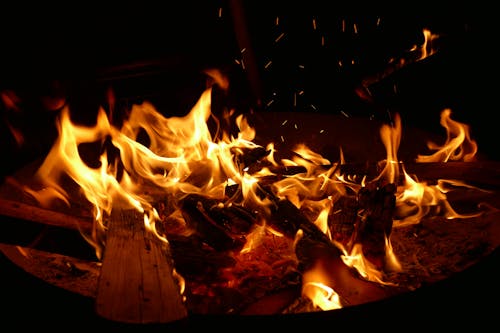 Foto stok gratis kayu bakar, malam, pembakaran