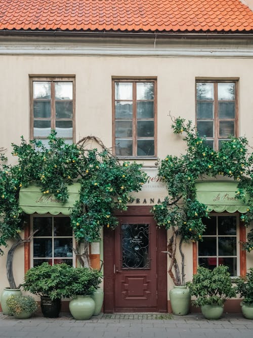 Kostenloses Stock Foto zu fenster, gebäude, mauer