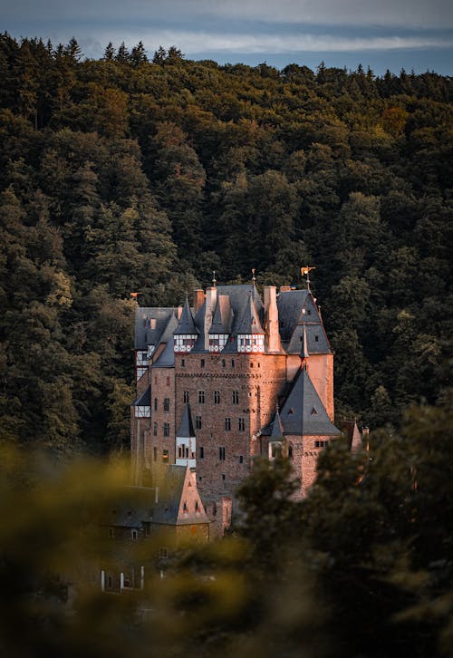 Безкоштовне стокове фото на тему «burg eltz, coleseed, deutchland»