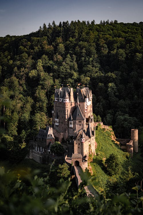 Immagine gratuita di abbazia, albero, antico