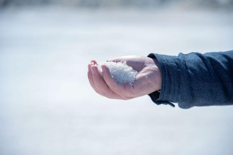 Close-up view of white salt crystals