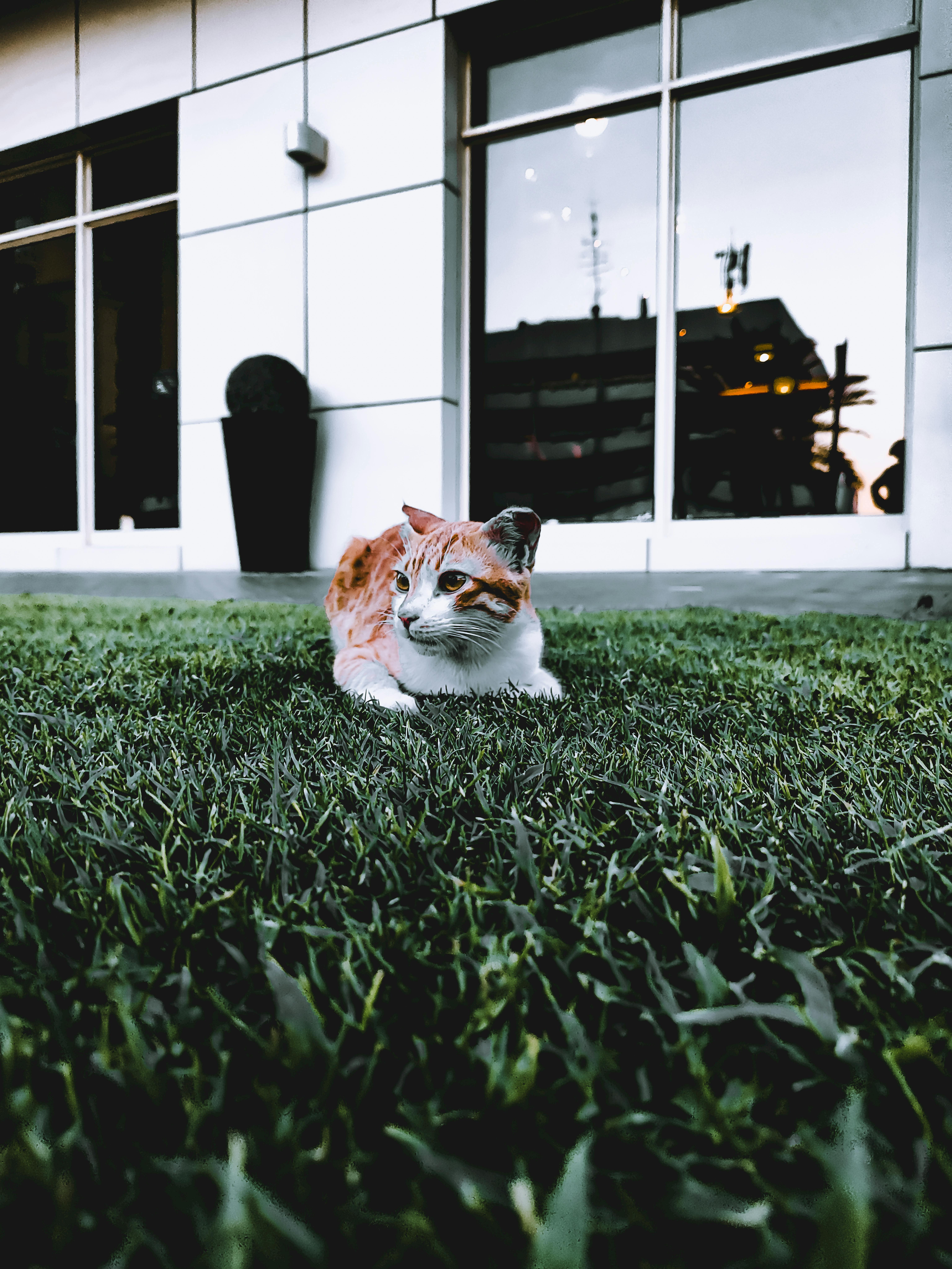 Unique Clay Sculpture