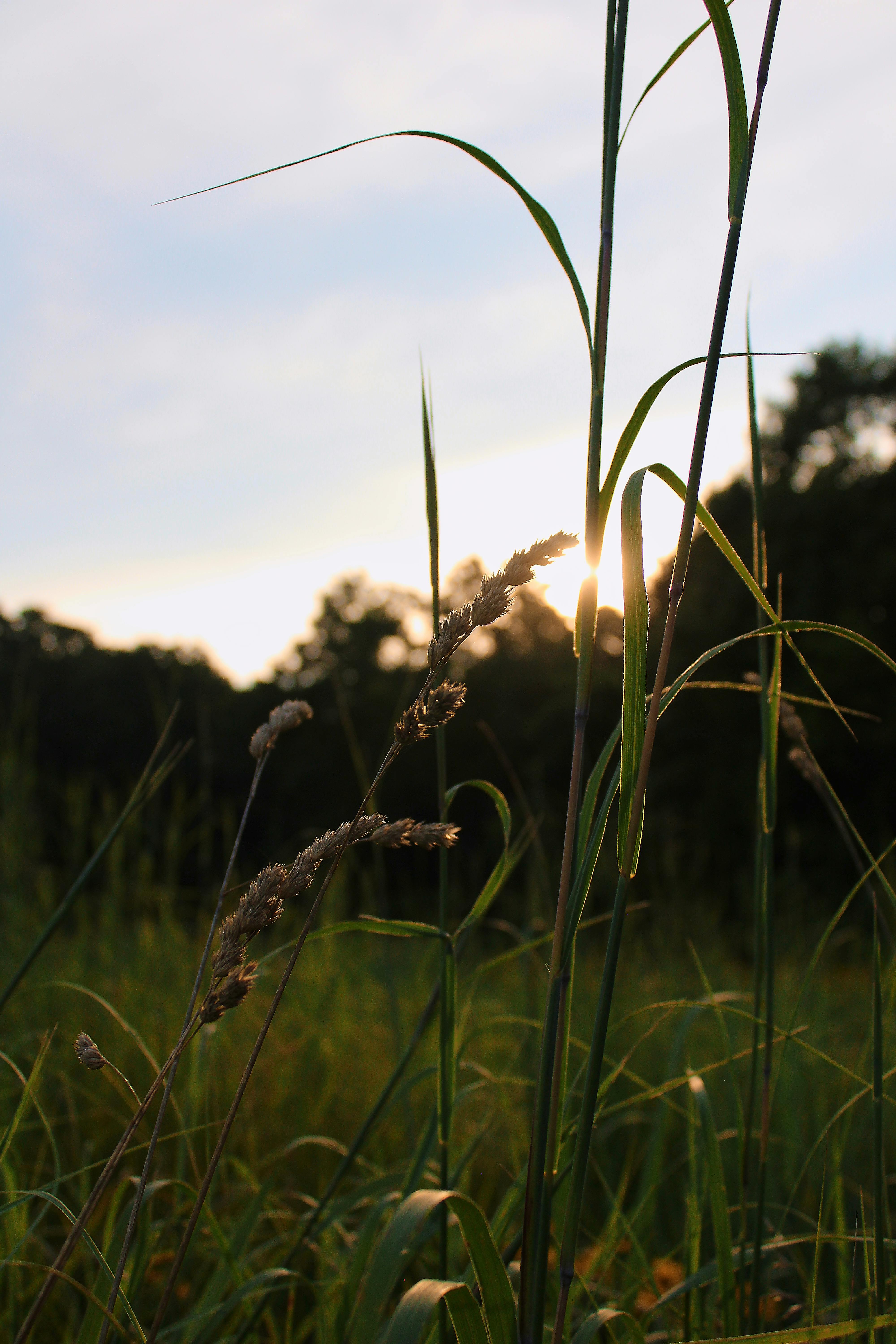 Abstract Custom Sculpture