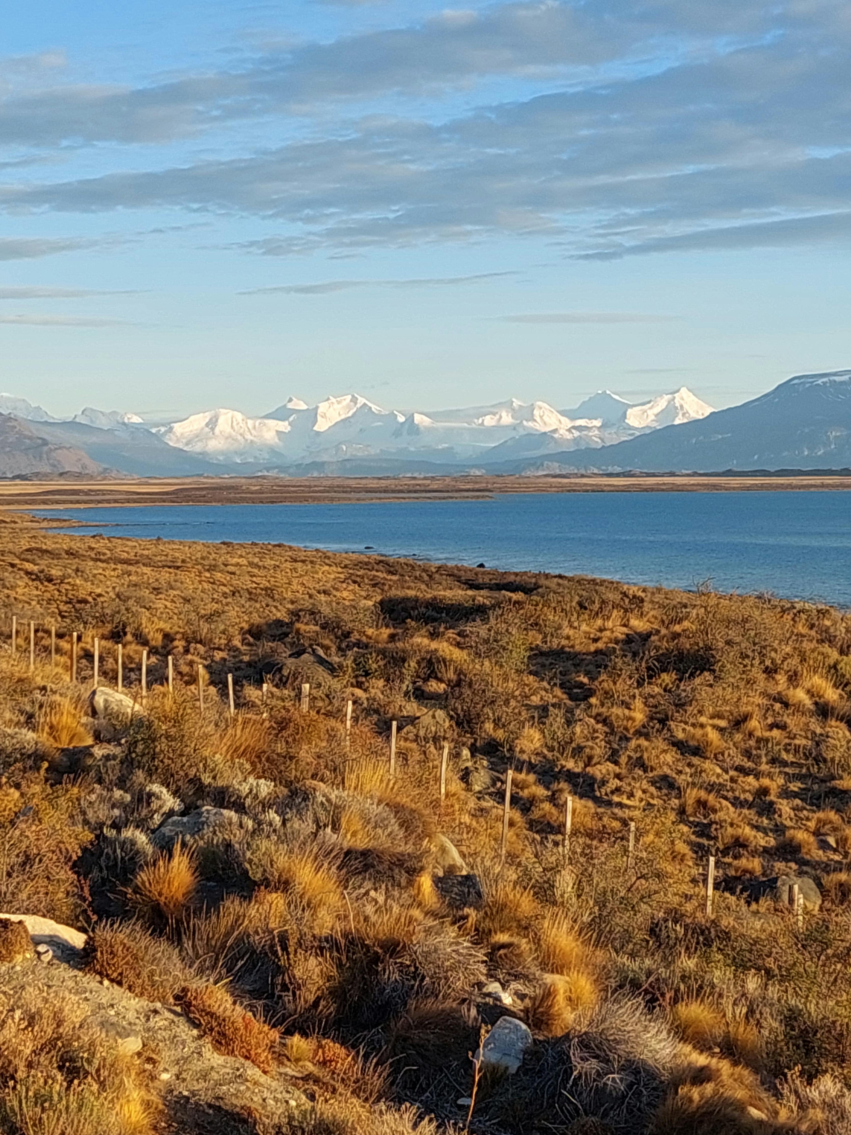 AI 스마트팜, 농업의 미래를 열다