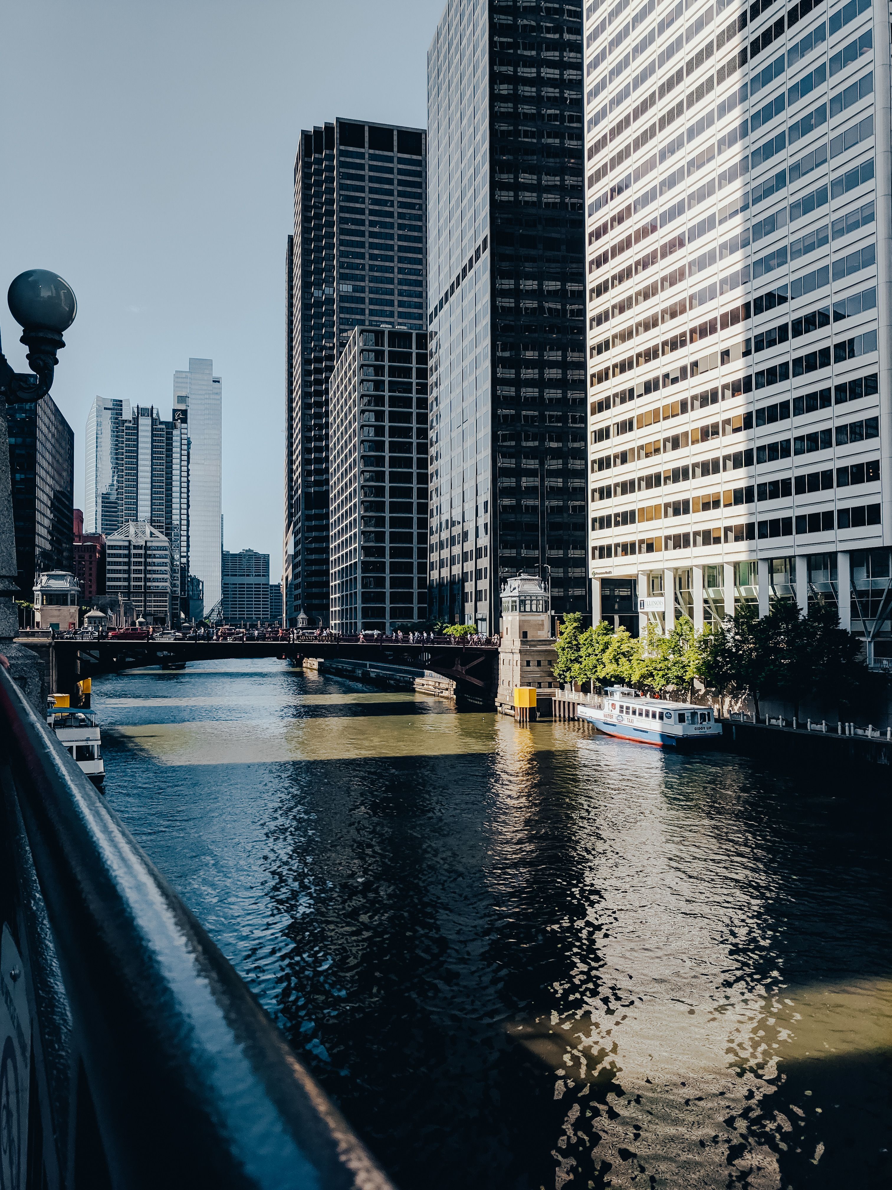 River in City · Free Stock Photo