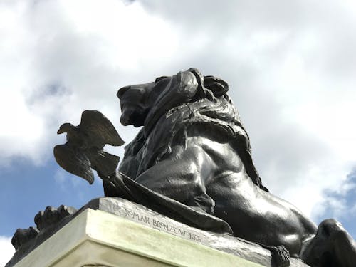 Free stock photo of lion, statue