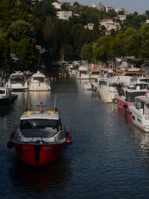 Motorboats near Shore in Town