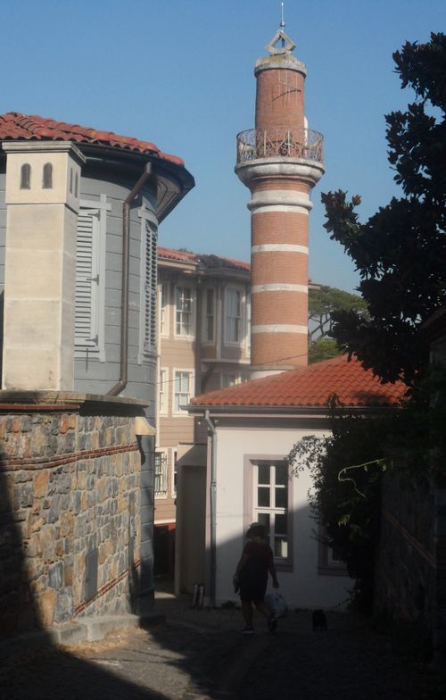 Free A narrow alleyway in Istanbul featuring a historic minaret and traditional buildings under clear skies. Stock Photo