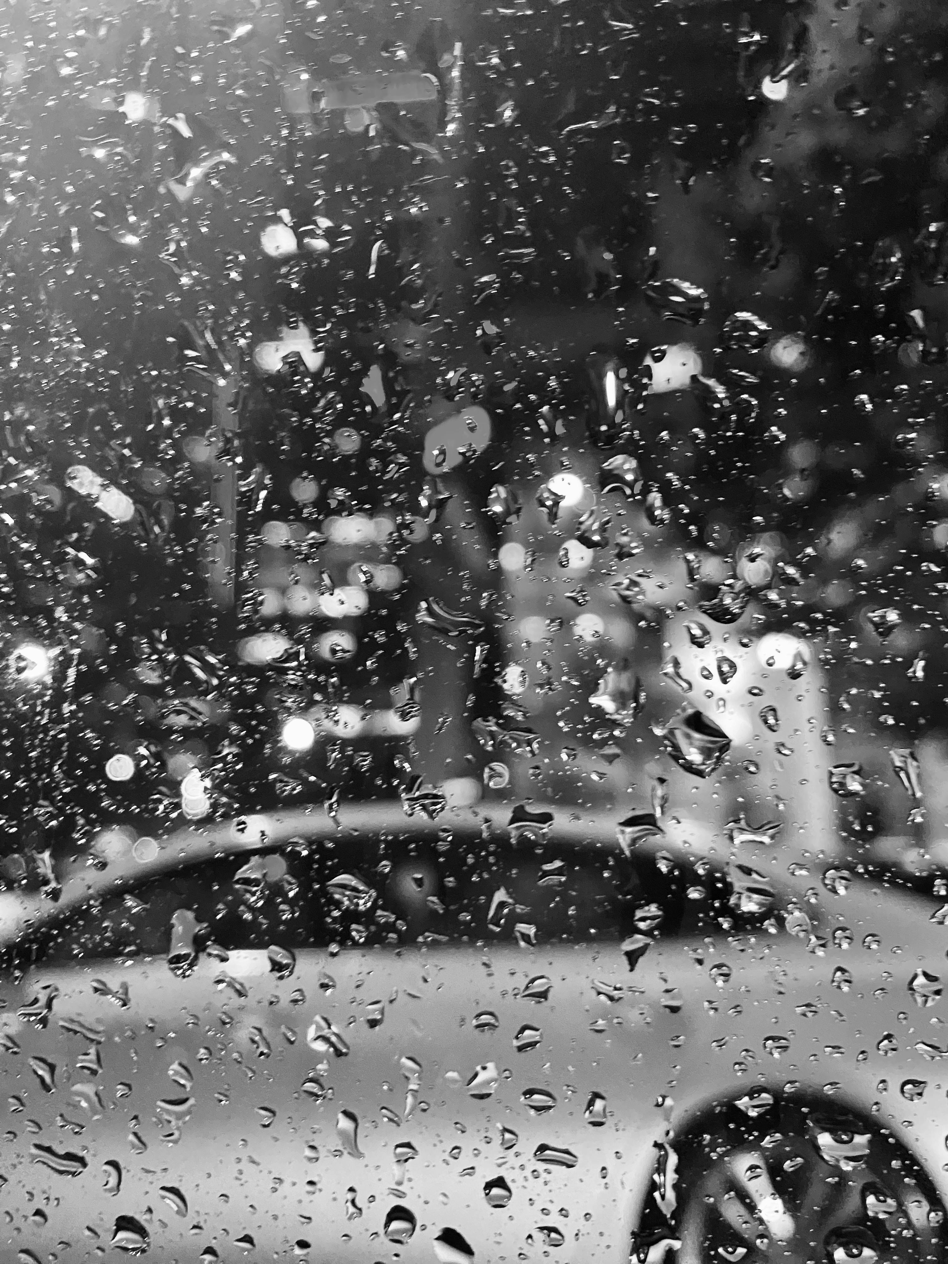 A thrilling Dubai Speedboat ride with city skyline in the background.