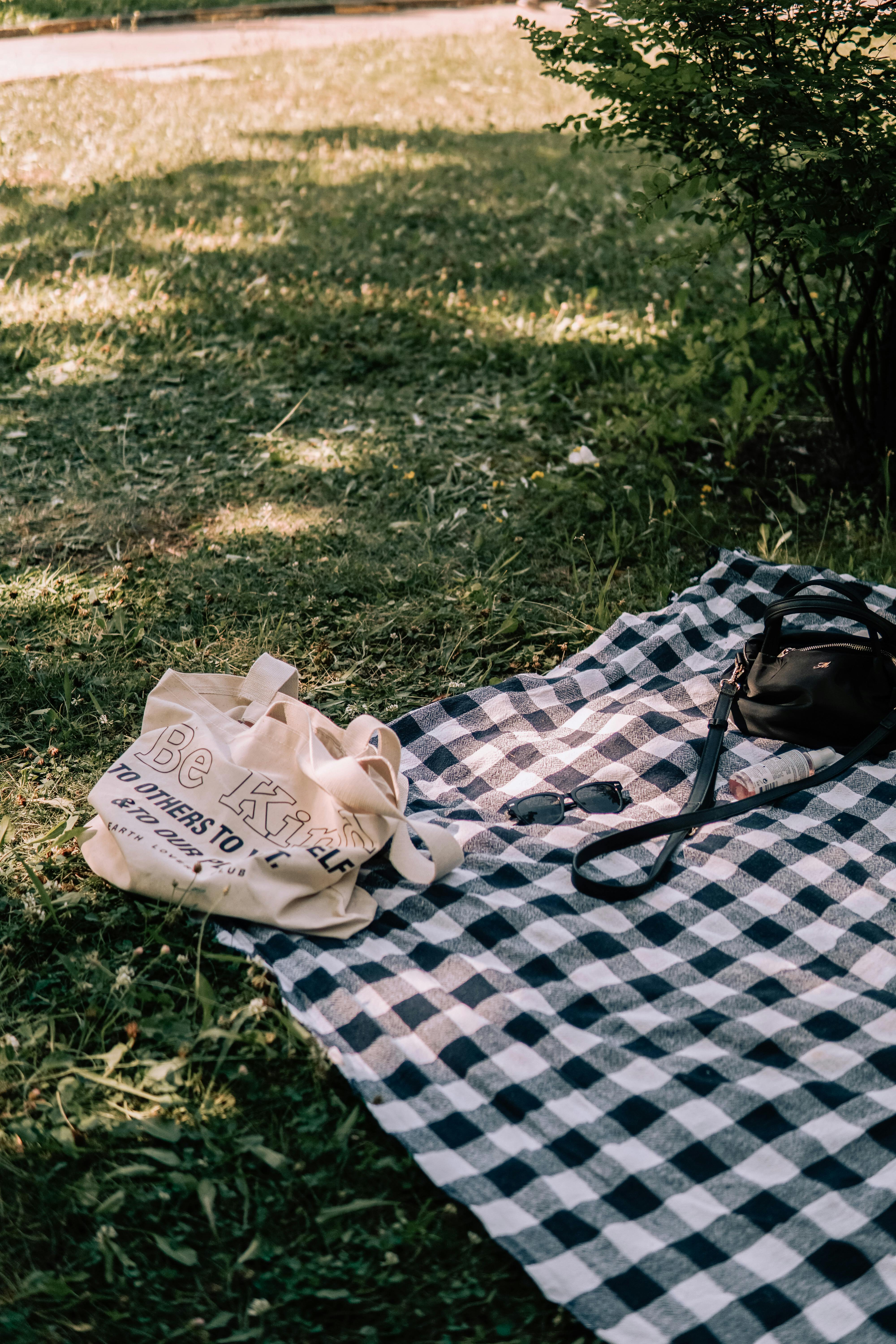 Picnic blanket clearance nyc