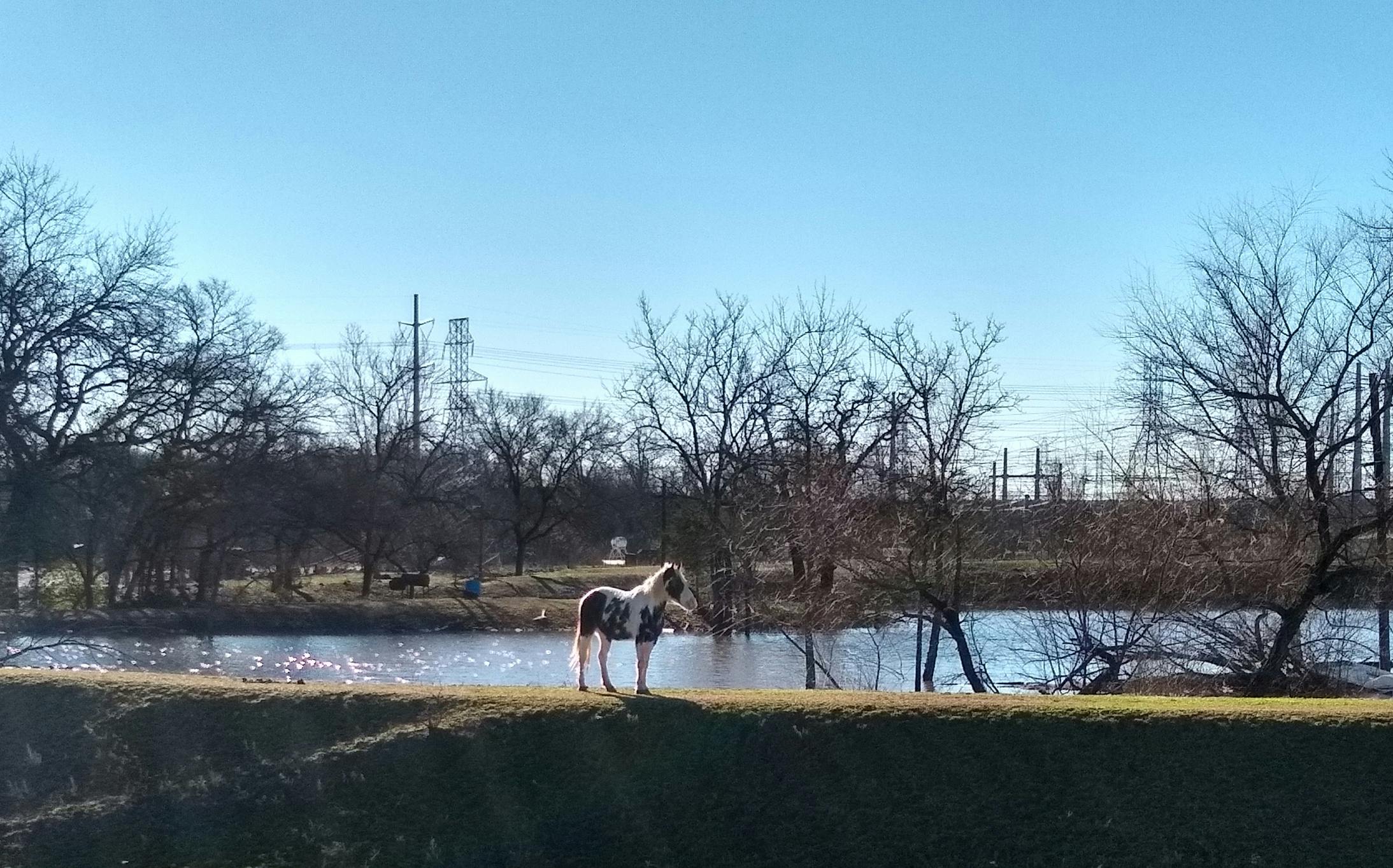 אוהל בדואי מואר תחת שמיים זרועי כוכבים המאפיינים חווית ספארי לילה דובאי מיוחדת