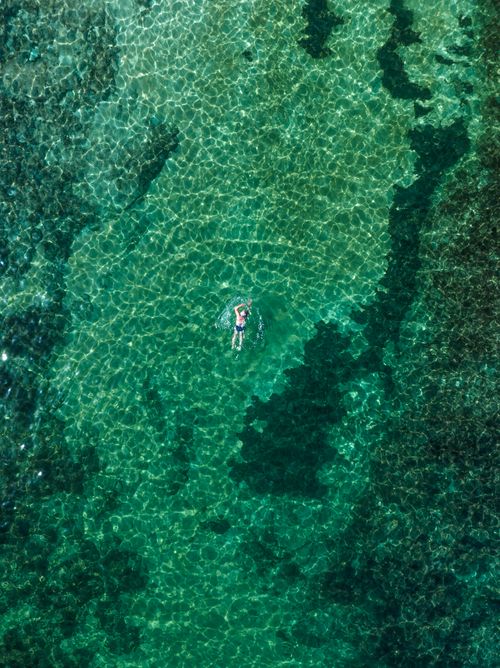Free Aerial shot of a man swimming in pristine turquoise sea waters in Torre Canne, Italy. Stock Photo
