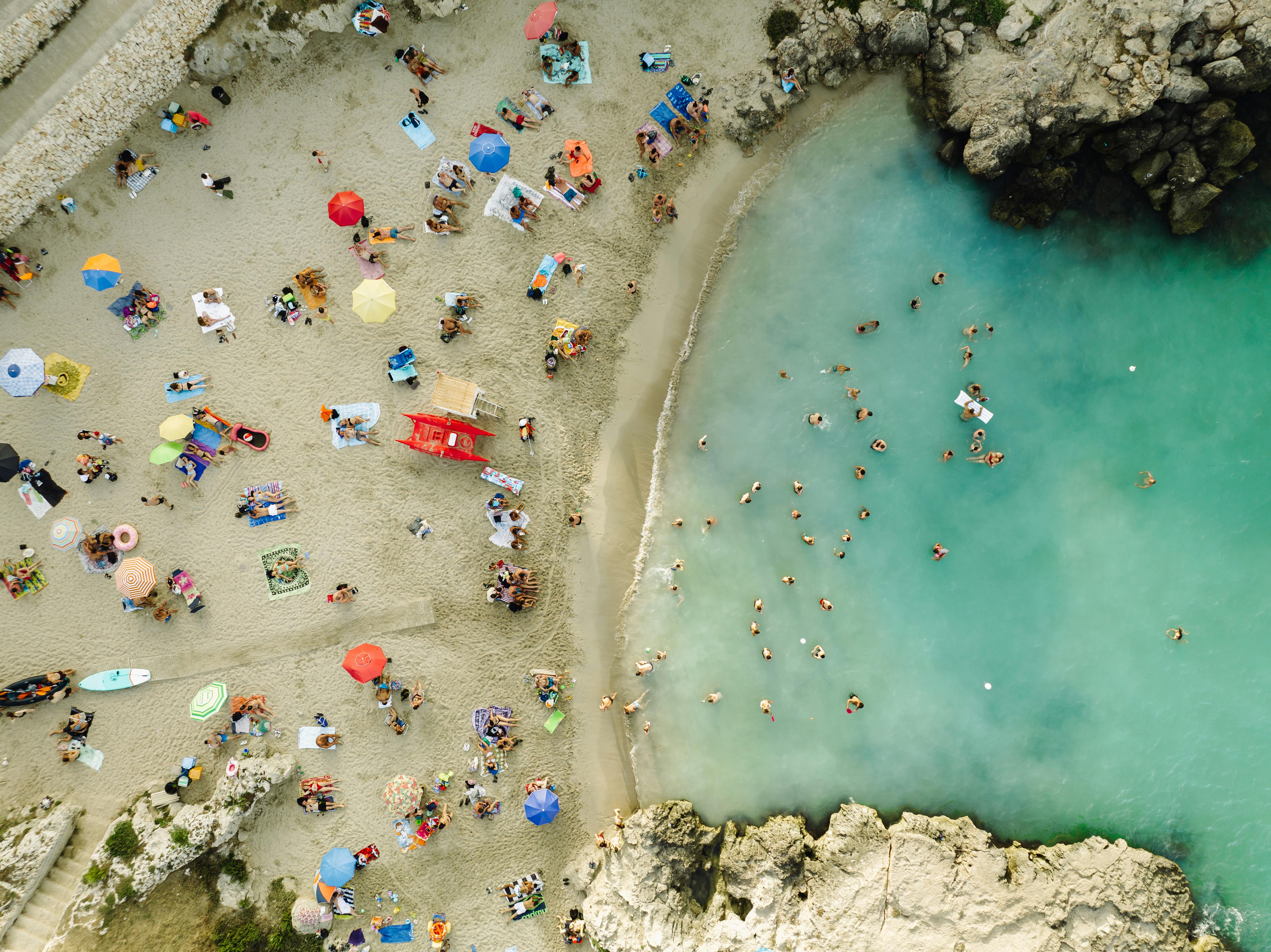 general lifestyle survey — Photo by Josh Withers on Pexels