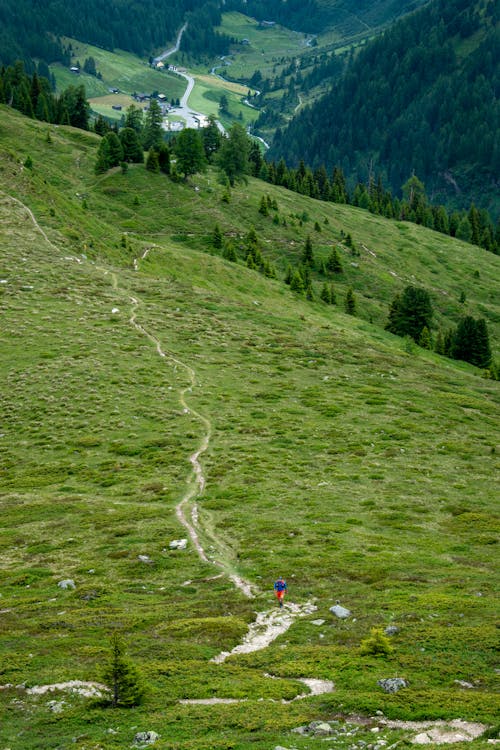 Hiker on Path in Meadow