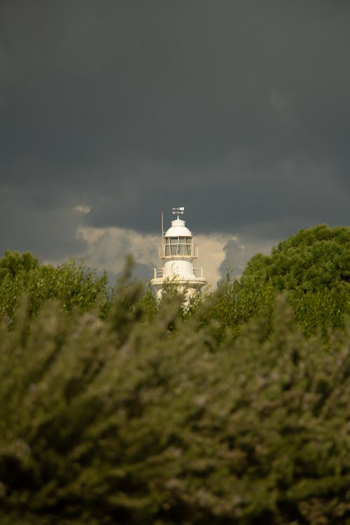 View of a Lighthouse Behind Trees
