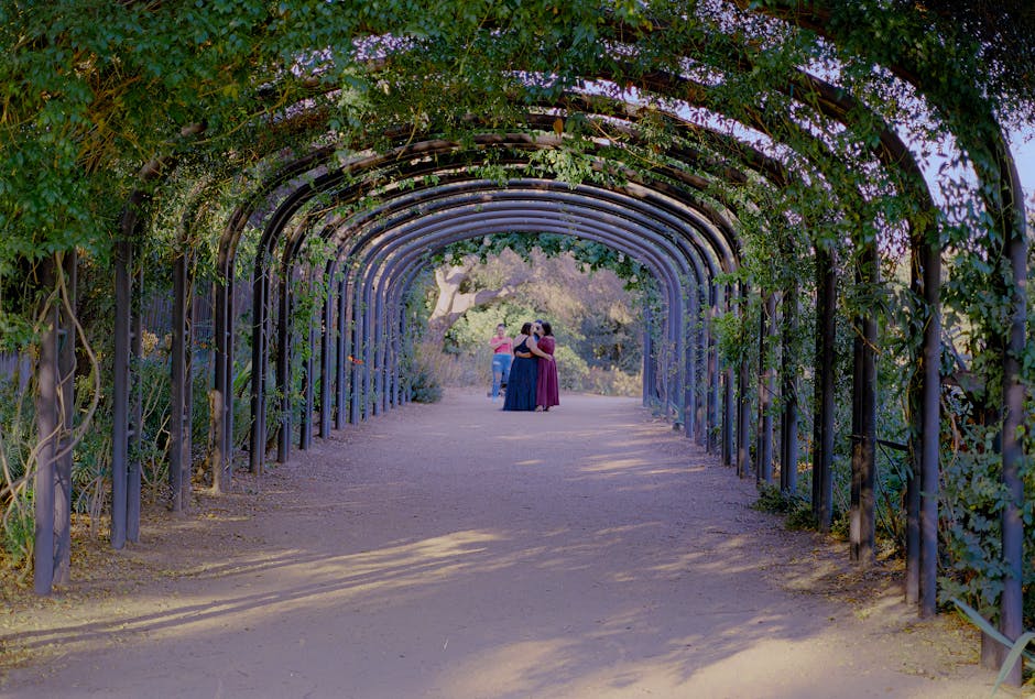 A woman walking along a shaded path under towering oaks lining a park walkway. Photographed by David Brown