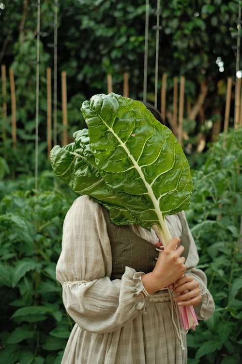 Woman in Dress Holding Big Leaves