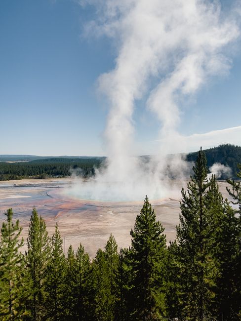 Stunning view of steam rising from Grand Prismatic Spring in Yellowstone.
