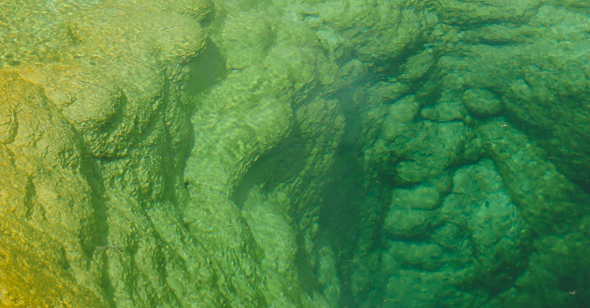 拚國際觀光!中市推溫泉旅遊獎勵 吸引逾千外國旅客體驗山林泡湯