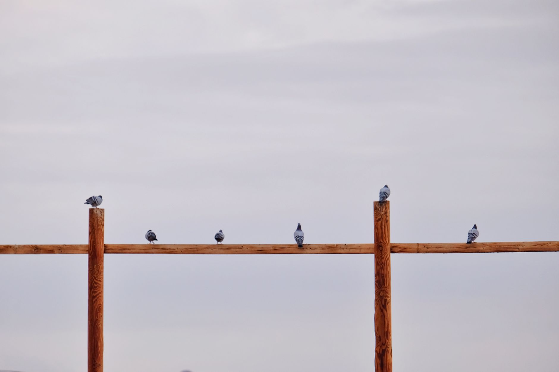 Pigeon Key — Pigeon Key