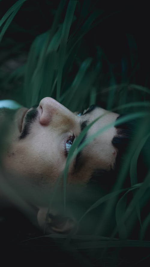 Grass around Head of Man Lying Down