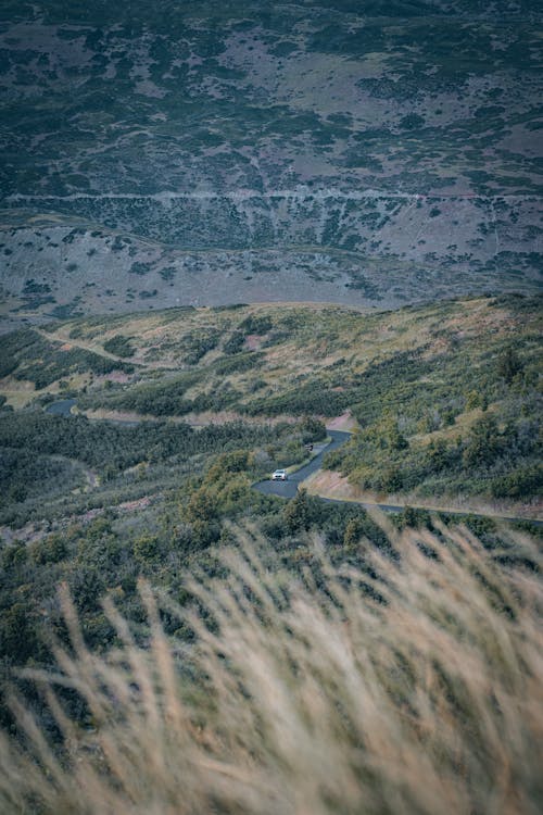 Road on Hills