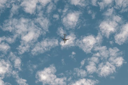 Безкоштовне стокове фото на тему «літак, літальний апарат, небо» стокове фото