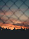 在充满活力的日落天空下，鸟儿剪影在栅栏后飞行