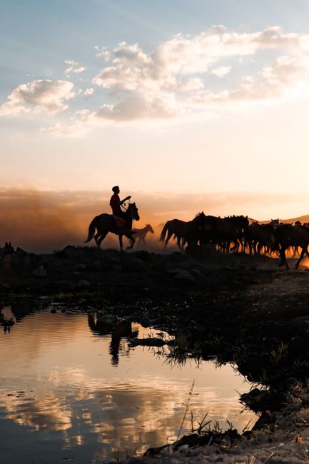 A herder guides a horse herd near a reflective water body during a scenic sunrise, creating a dramatic silhouette.