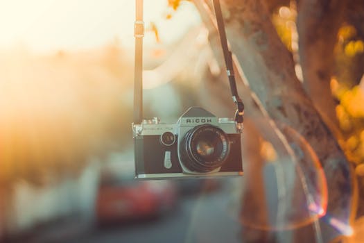 在温暖的阳光下，老式理光相机悬挂在皮带上，背景是自然的户外景色