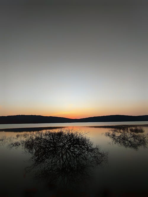 Free stock photo of beach sunset, dead tree, lake