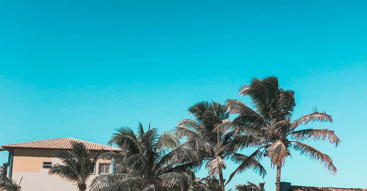 A tranquil tropical villa surrounded by lush palm trees under a vibrant blue sky, capturing the essence of summer.