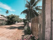 晴朗的蓝天下，棕榈树和乡村房屋点缀着宁静的村庄街道