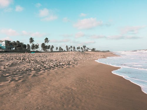 浪湧向岸