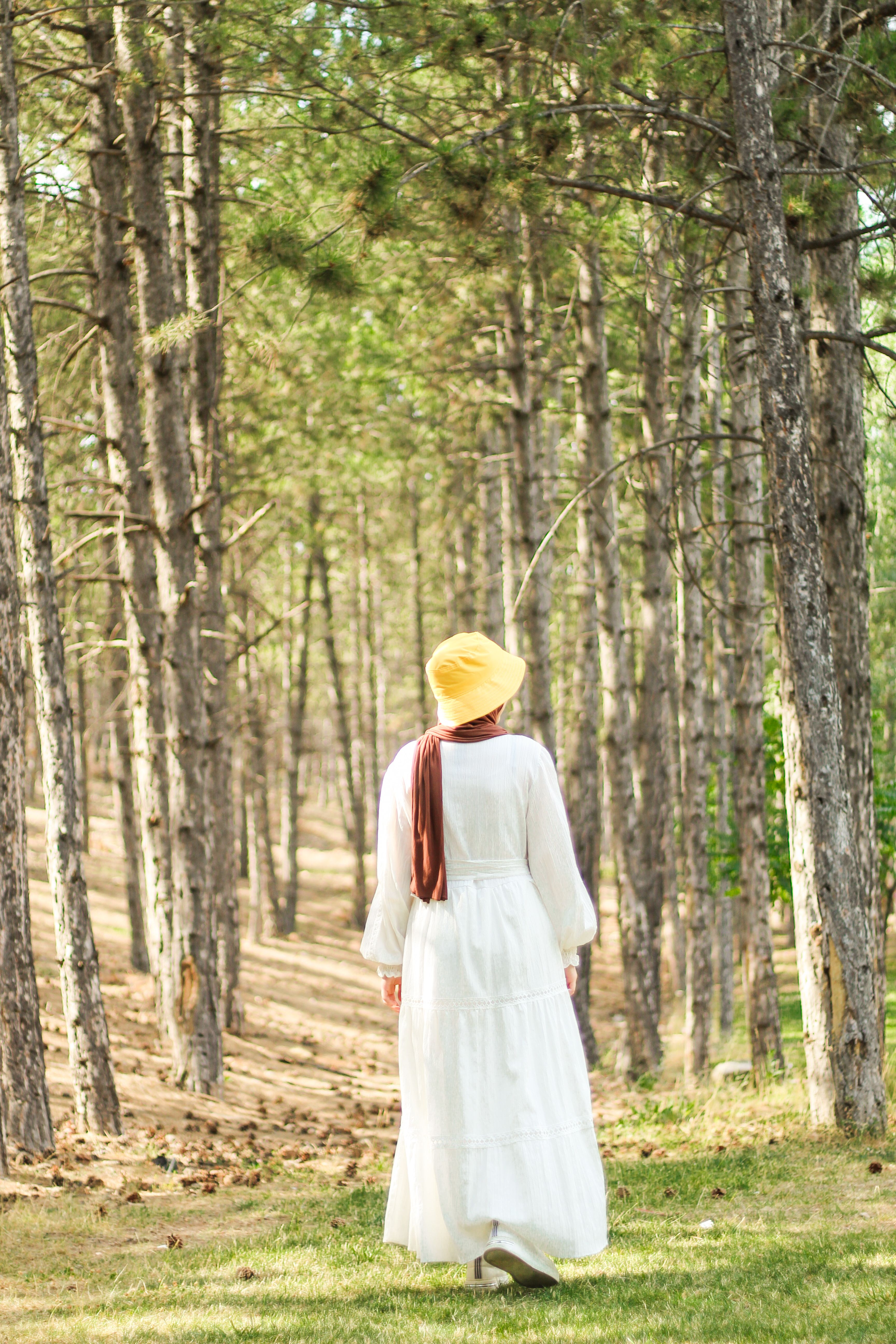 Back View of Woman in Hat and Dress in Forest · Free Stock Photo
